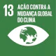 Ícone do ODS 13: fundo verde, número “13” em branco e símbolo de um globo dentro de um olho. Seu propósito central é 