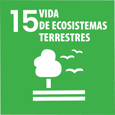 Imagem do Objetivo de Desenvolvimento Sustentável 15 da ONU, com fundo verde. Mostra o número 15 no canto superior esquerdo e o texto “Vida de Ecossistemas Terrestres”. Abaixo, há o ícone de uma árvore, duas aves voando e linhas que representam o solo, simbolizando a preservação da vida terrestre.